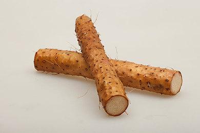 《Blazing Trail》Steam页面上线 暂不支持中文